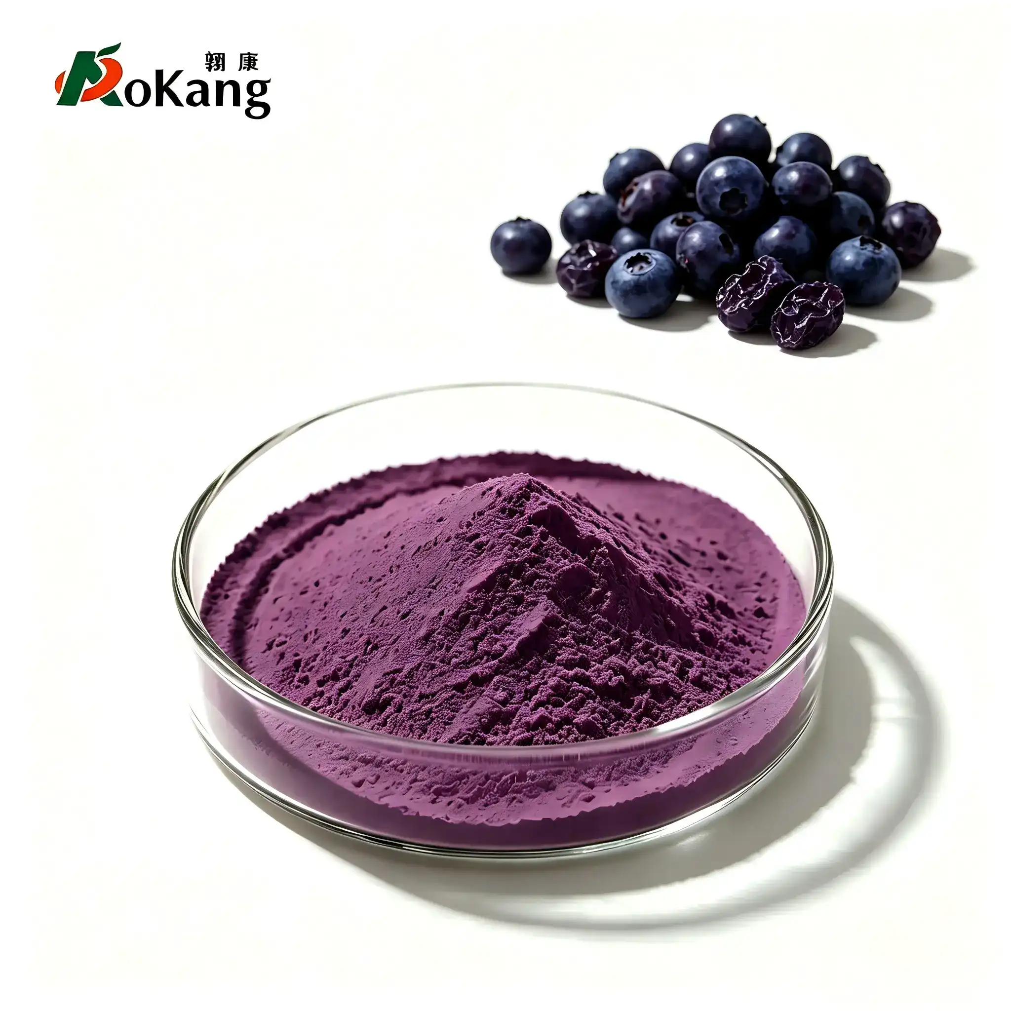 Bilberry Extract Powder